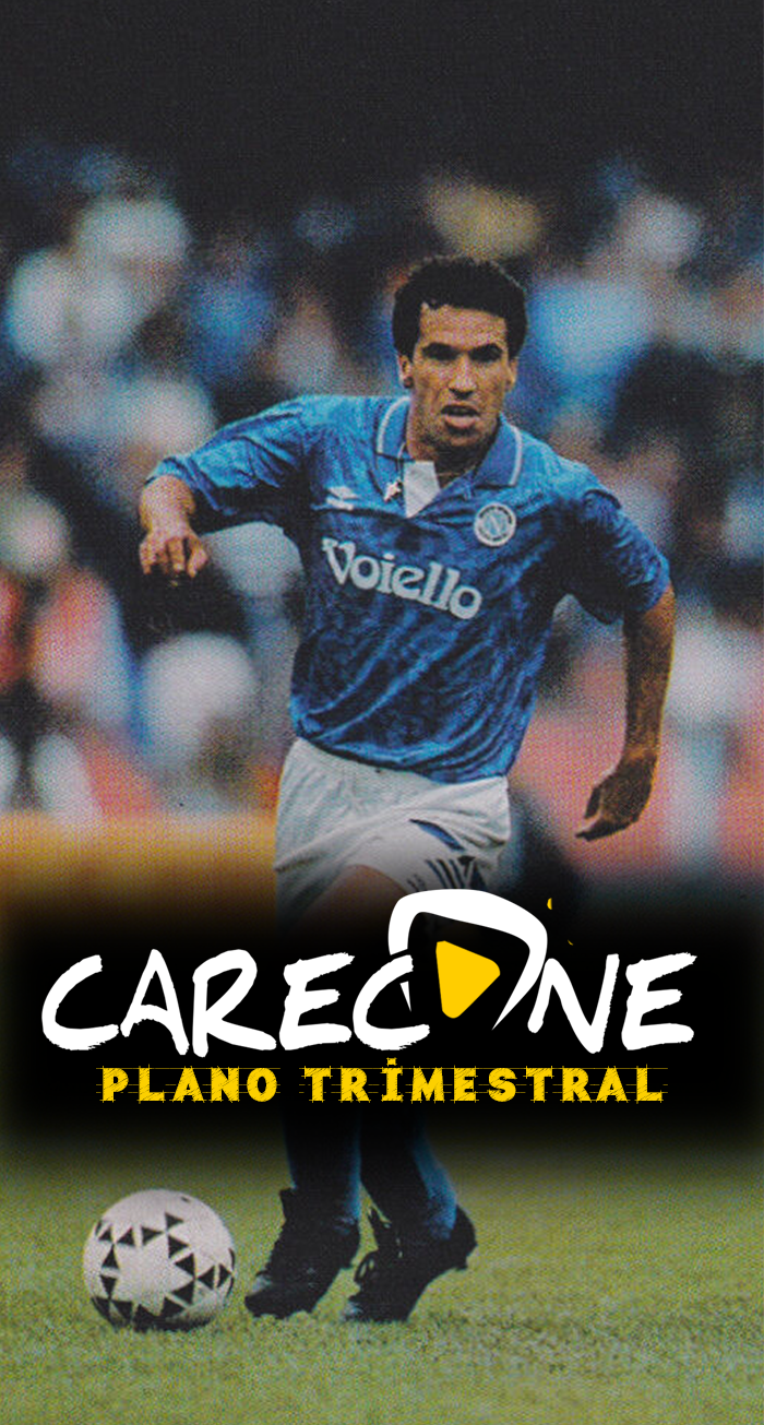 Trimestral_novo